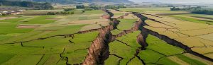 Serene rural landscape