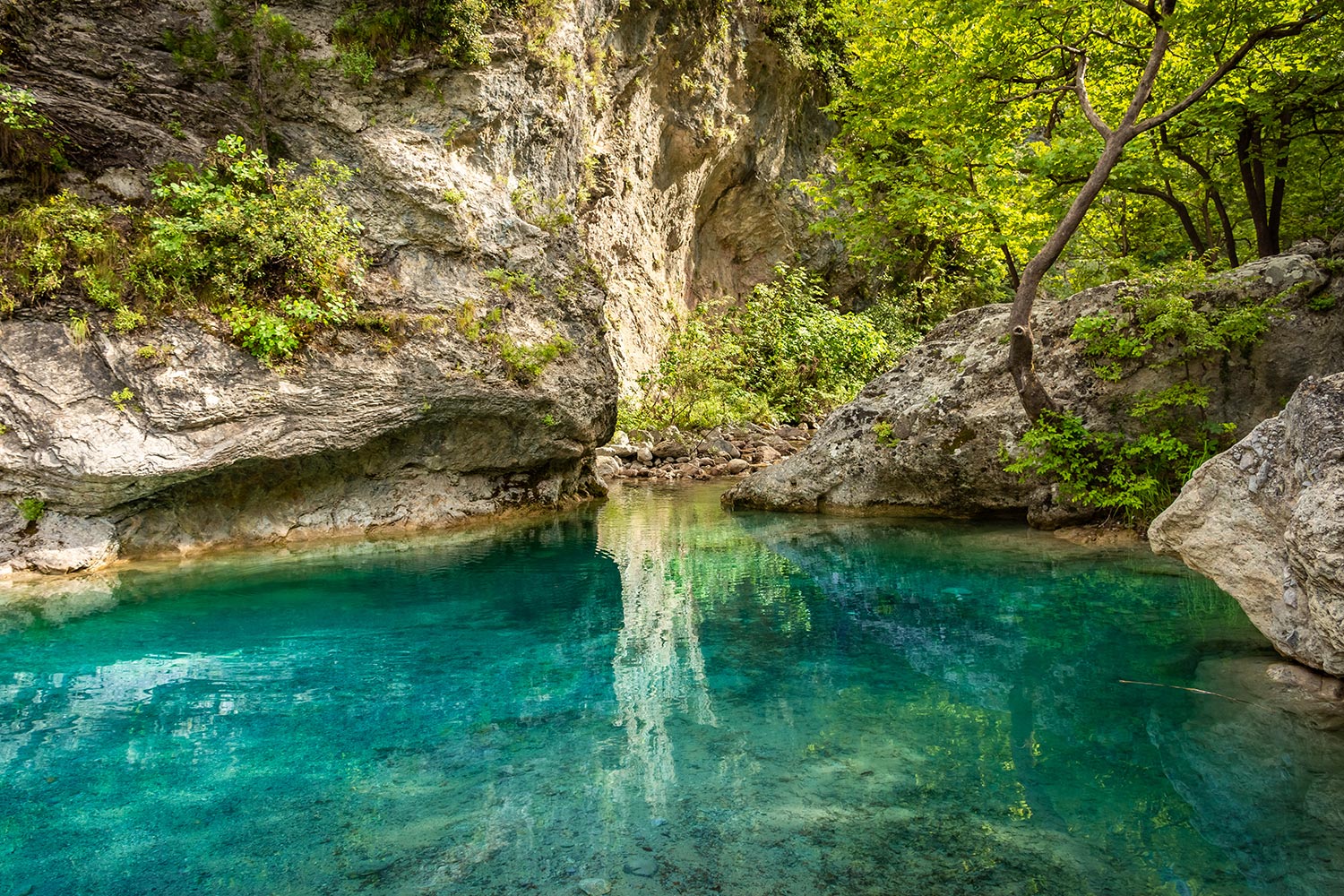 Crystal-clear-waters-of-natural-springs-and-lake-in-the-woods-of-the-Mount-Olympus